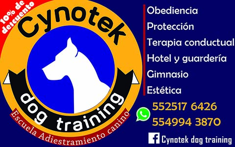 Cynotec Dog Training