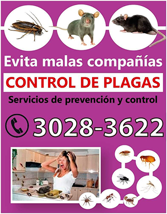 Control De Plagas 